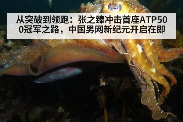 从突破到领跑：张之臻冲击首座ATP500冠军之路，中国男网新纪元开启在即