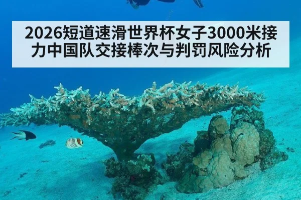 2026短道速滑世界杯女子3000米接力中国队交接棒次与判罚风险分析